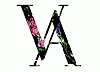 VARVARA